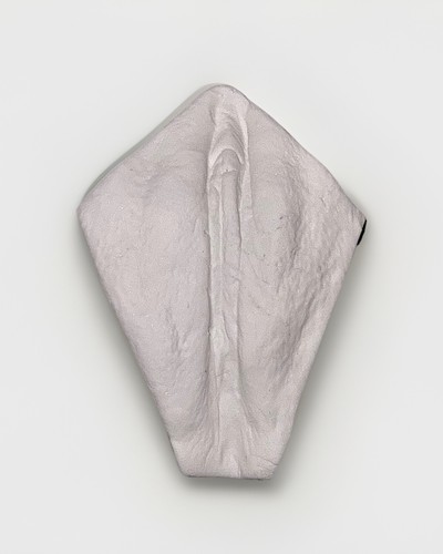 Vagina gipsabdruck original - gipsabdruck,