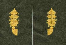 WWI:Kragenspiegel:General,mges