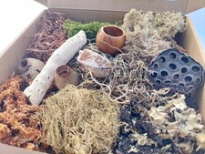 Dekorationsset Terrarium