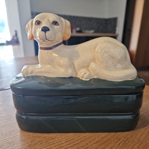 Hund dog porzellandose - dog,
