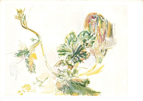 Alte oskar kokoschka - oskar,