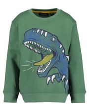 Blue Sweatshirt BIG DINO