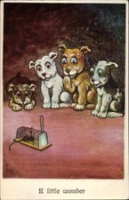 Künstler Ak A little wonder, Vier Hunde betrachten Maus in Mausefalle - 2941040