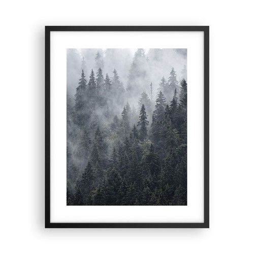 Wandbilder 40x50cm poster wald - 40x50cm,