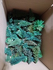 Konvolut ca 135 Tannen 6-15 cm