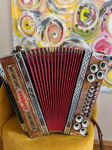 Hohner alpina mit koffer - iv, d3