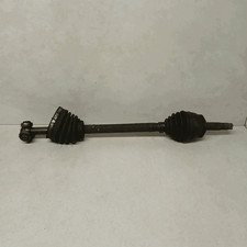 46307998 Semialbero-Ameise