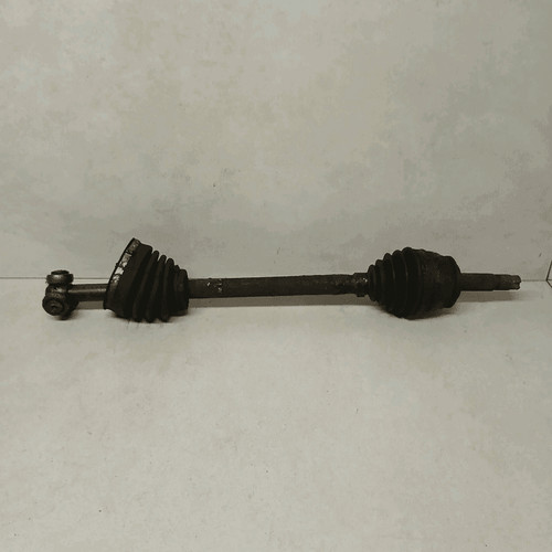 46307998 semialbero ameise - 46307998, semialbero-ameise