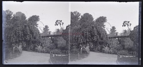 ägypten park zoologische - Ägypten,