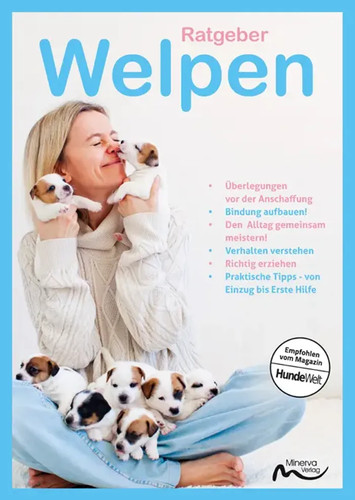 Ratgeber welpen empfohlen - welpen,