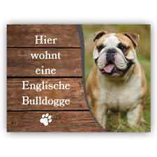 Englische Bulldogge Schild -