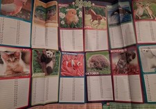 1 Großer Tier-Kalender für