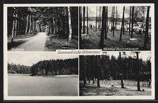 Ochsensaal wurzen - ak, /