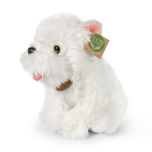 Westie west highland terrier - west,