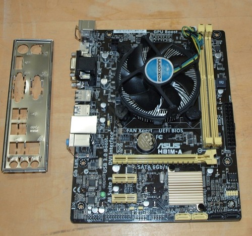 Mainboard asus h81 mit - m2, cpu