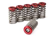 Ducati Trockenkupplung Federteller Rot + 38mm Edelstahl Kupplungsfedern Set