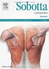 Sobotta lernkarten muskeln - lernkarten,