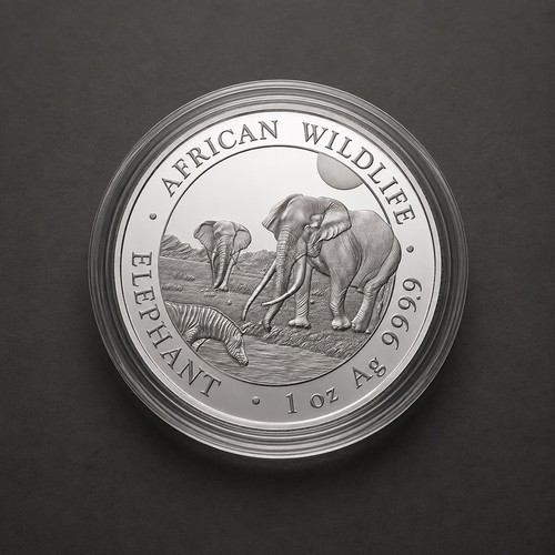 2026 somalia elefant 1oz - 2026,