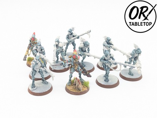 Kroot carnivores teilw - carnivores,, *teilw