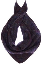 Etro Schal Damen Tuch