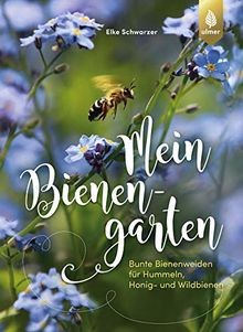 Mein bienengarten bunte - bienengarten:,
