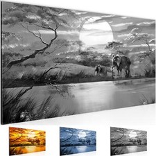 Wandbild Afrika Elefant Bild