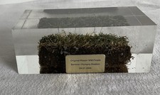 Original WM Finale Rasen Berliner Olympia Stadion 09.07.2006 Fussball Berlin