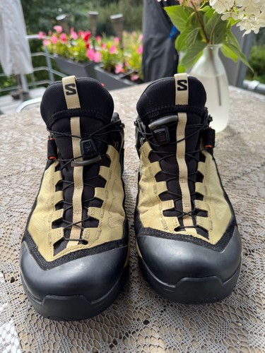 Salomon ultra alpine - alpine, herren