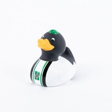 Vfl borussia mönchengladbach - vfl,