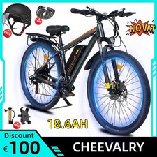 Elektrofahrrad 29 Zoll E-Bike