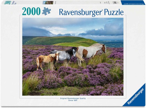2000 teile ravensburger puzzle - teile,