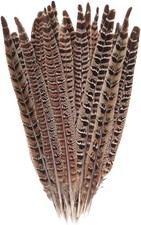 10 Pcs Long Pheasant Tail