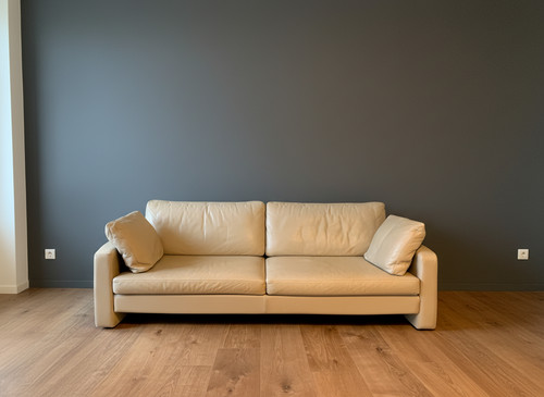 Cor conseta leder sofa - cor,