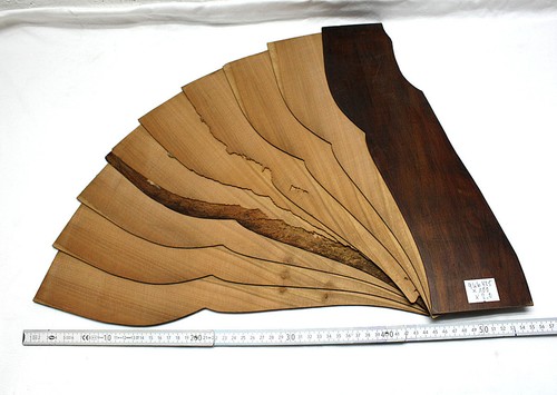 Blatt kirschbaum - blatt,