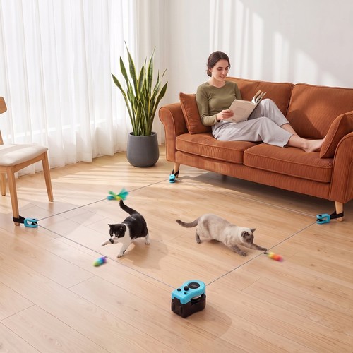 Katzenspielzeug laufband - katzenspielzeug,
