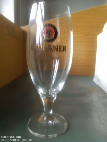 12x paulaner pokalglas - paulaner,