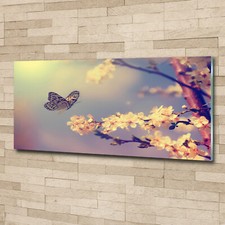 Acrylglas bild wandbilder - acrylglas-bild,
