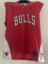 Chicago Bulls NBA Trikot Chanpion 2010 90er Jahre retro Trikot Größe L