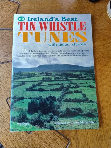110 irlands beste tin whistle - 110,