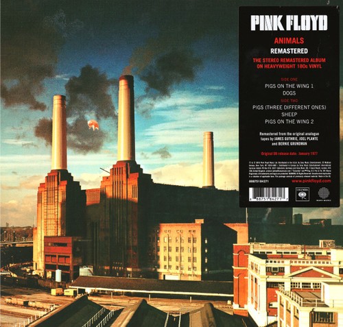 Pink floyd tiere - pink, album
