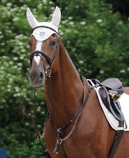 Passier Marcus Ehning