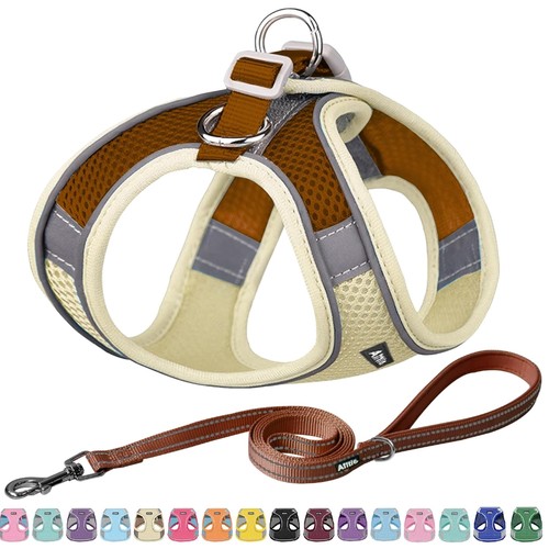 Hundegeschirr hundeleine set - hundegeschirr,