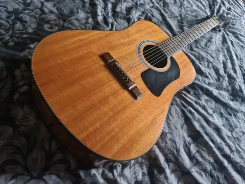 Akustikgitarre washburn - akustikgitarre, d6