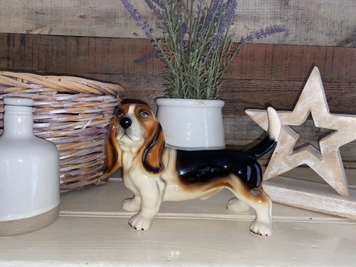 Vintage beagle bassett hound - bassett,