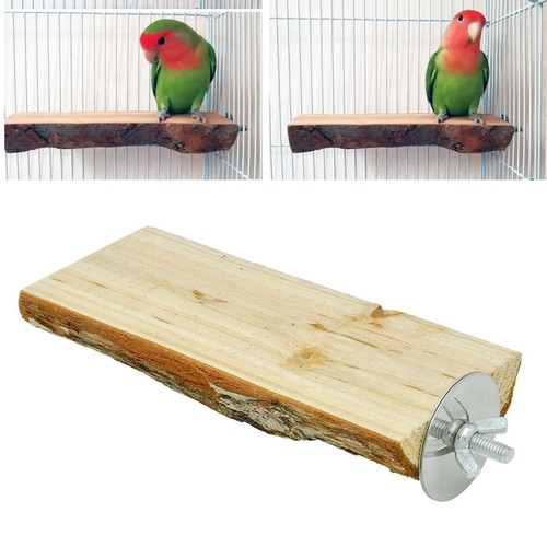 Vogel sitzstange für - vogel,