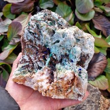 💎Video🔥Top XL Stufe