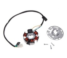 Zündung Stator Lichtmaschine 6 Spulen 12V 65W für Moped Mofa DERBI SENDA 2008