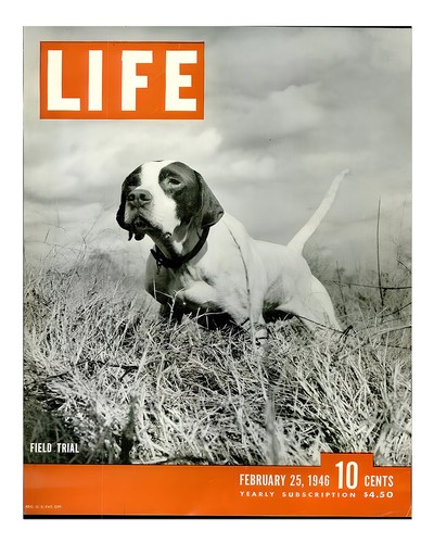 Vintage hunde leben magazin - vintage,