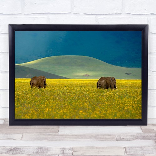 Elefant elefanten afrika feld - elefanten,