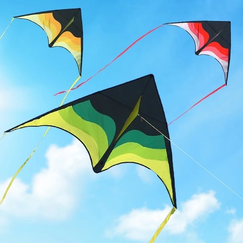 Yongjian large delta kite - kite, für